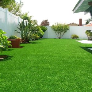 You Can Have a Yard You Are Proud Of