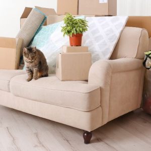 A Stronger Framework for Decluttering your World